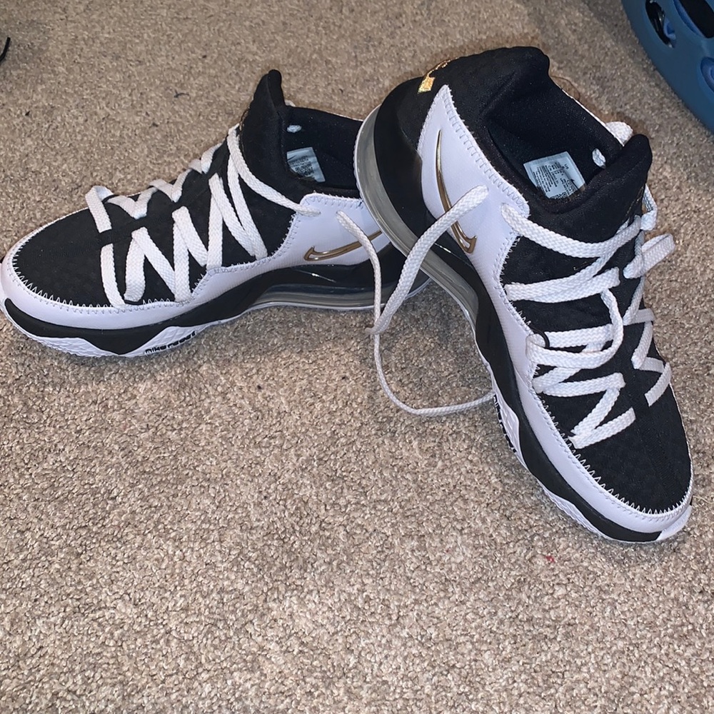 Nike Lebrons kids basketball shoes